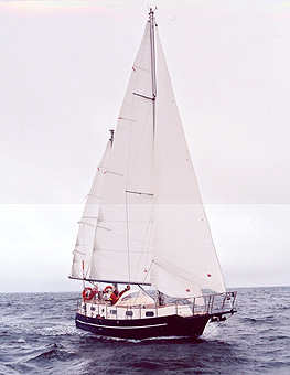 CS348-SAIL-1.jpg (9899 bytes)