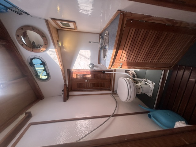 Miss Fiona heads compartment